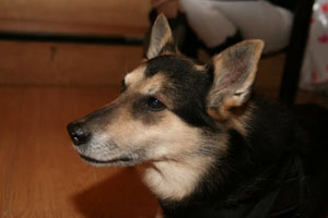 torwartschule-xmas08-010