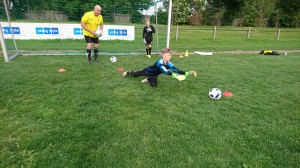 TWS HALTestelle Liesing #2